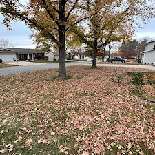 Detailed-and-Affordable-Leaf-Removal-Service-in-St-Peters-Missouri 0